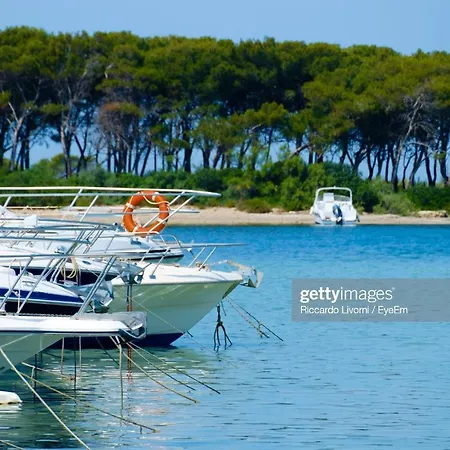 Luxury Holiday House With Swimming Pool In Porto Cesareo Torre Cesarea * Porto Cesareo